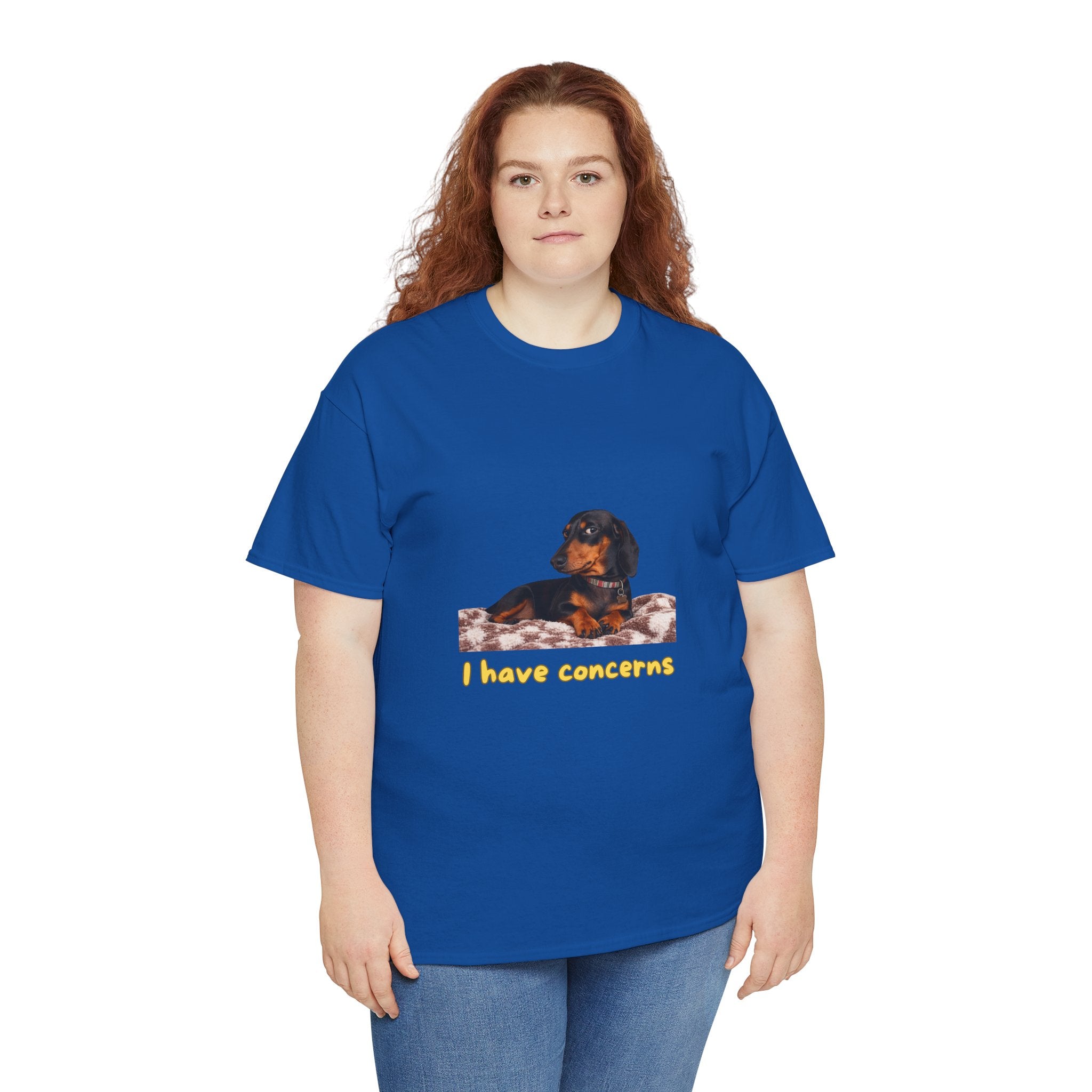I Have Concerns T-Shirt – Funny Dachshund Side Eye Dog | Sausage Dog Wiener Dog Attitude Graphic Tee
